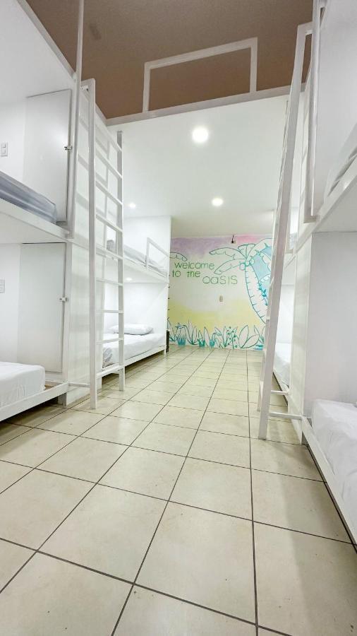 Sjo Oasis Hostel San José Eksteriør billede