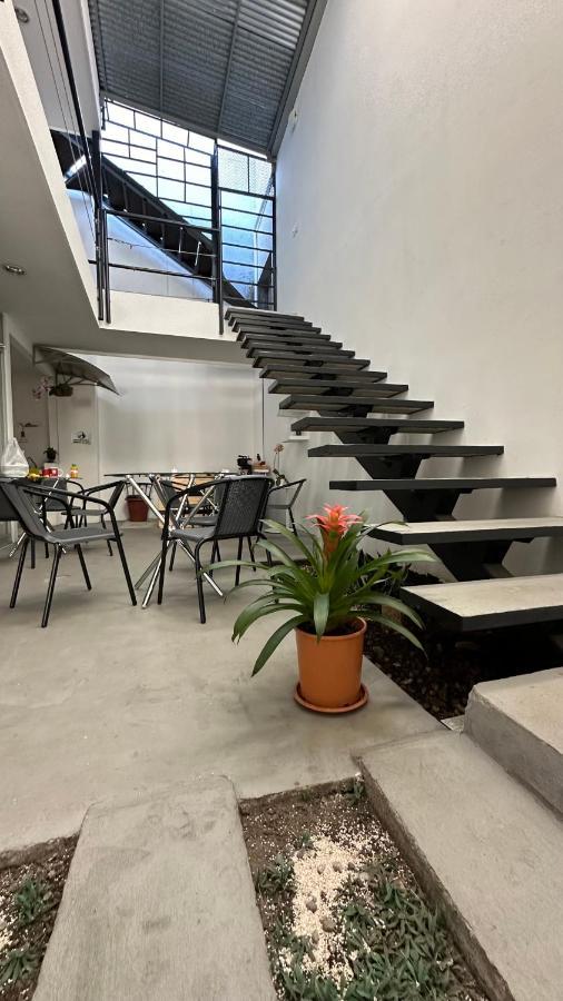Sjo Oasis Hostel San José Eksteriør billede